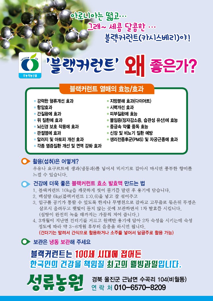 블랙커런트 전단지.jpg