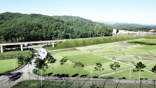 206.jpg
