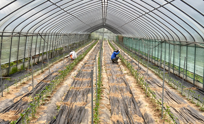 319.jpg