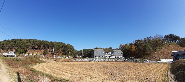 105.jpg