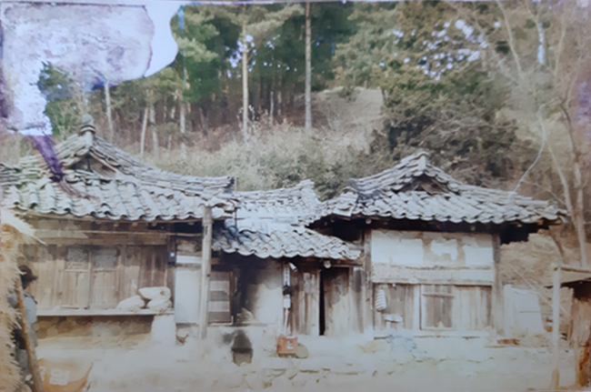 050.jpg