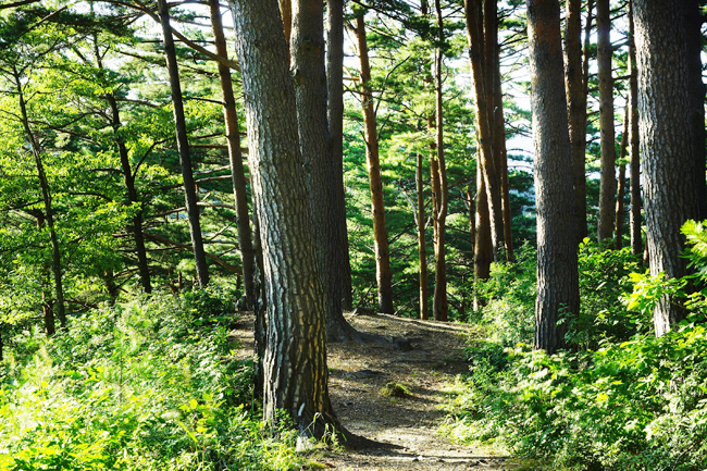 031.jpg