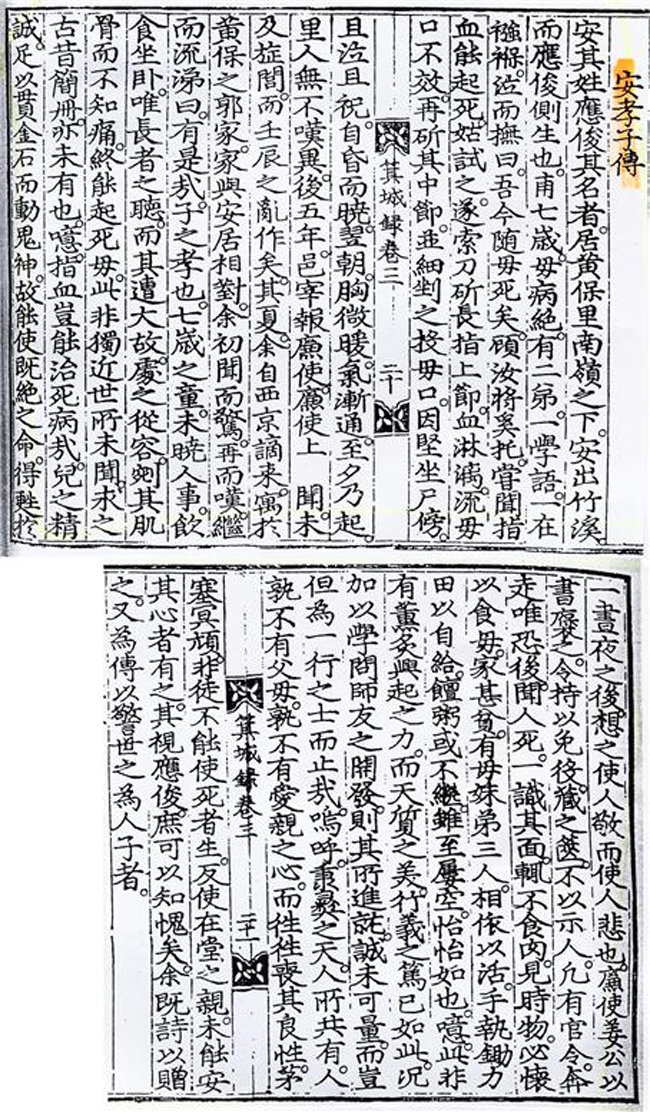 110.jpg