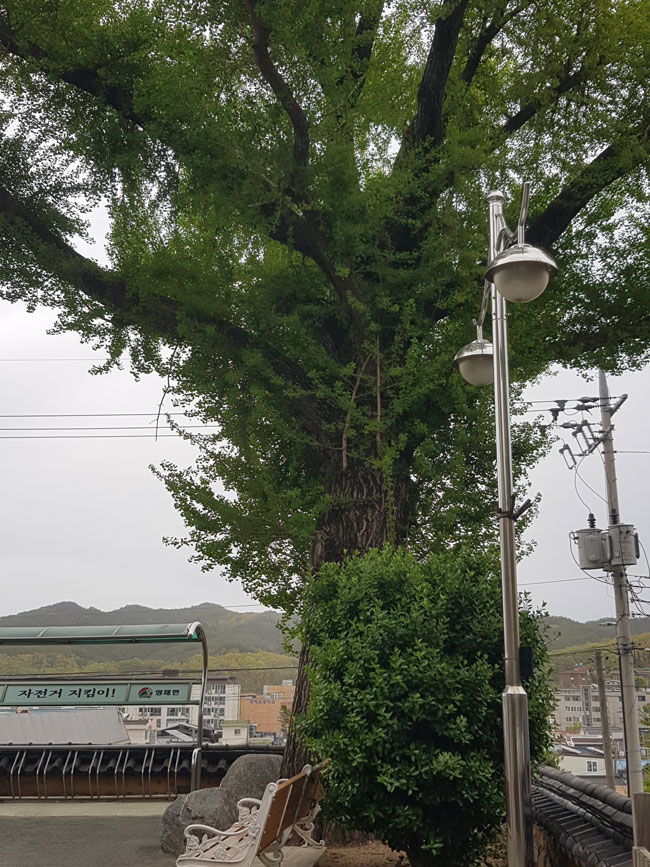 KakaoTalk_20231015_152621172_01.jpg