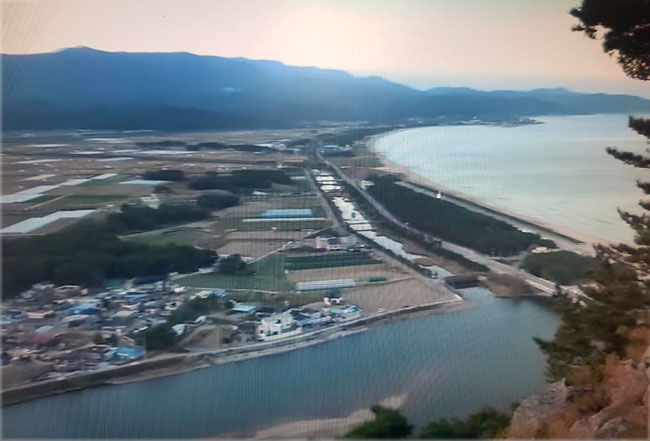 관어대에서-바라본-영해평야와-동해.jpg