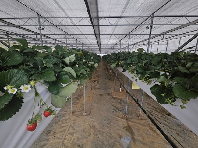 450.jpg