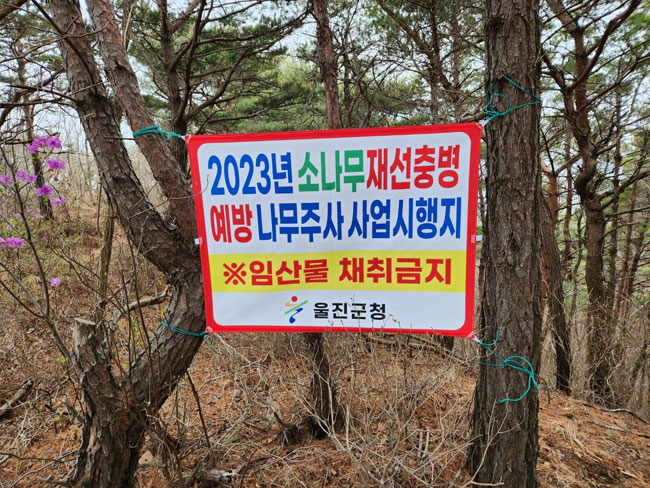 555.jpg
