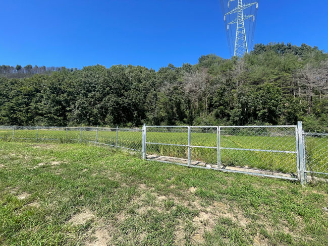 521.jpg