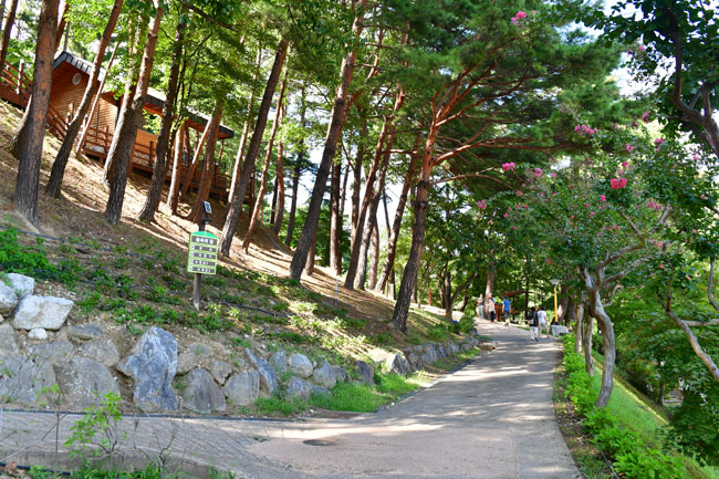 860.jpg