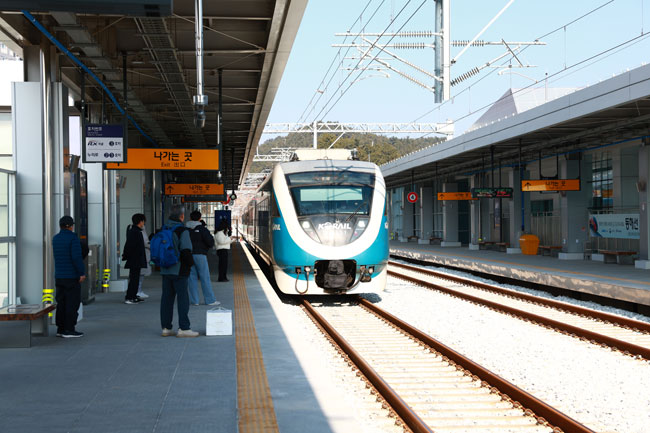 869.jpg