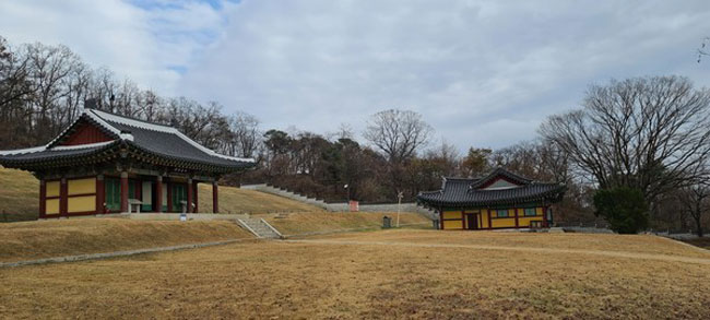 050.jpg