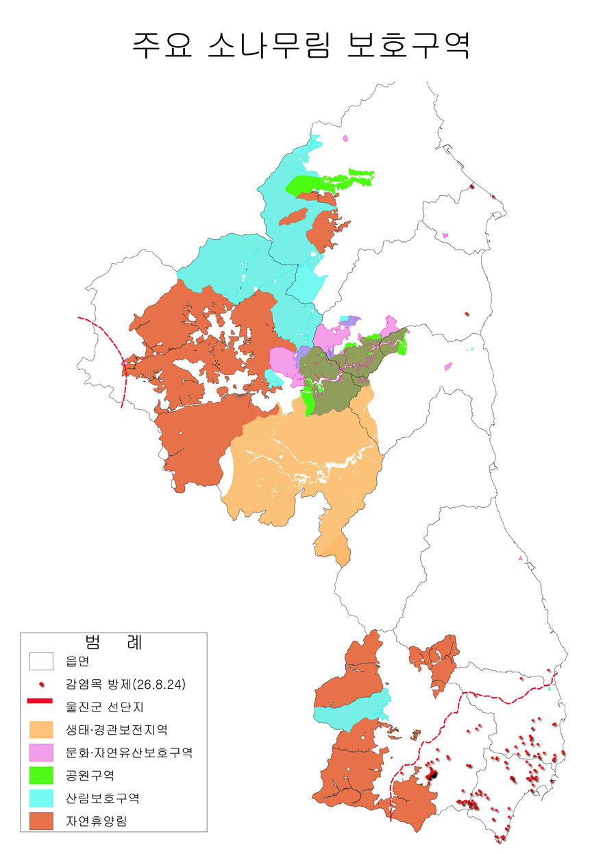 341.jpg