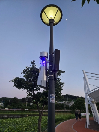 동양하루살이와의 전쟁! 포충기로 박멸!