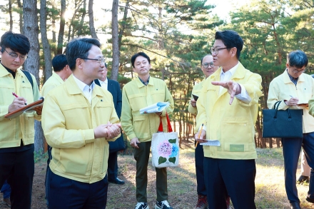 소나무 재선충병 대응 산림청 ‧ 울진군 협력 강화