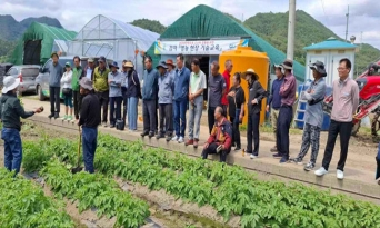 울진군, 맞춤형 감자 재배 교육 큰 호응